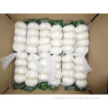 /msite/products/detail/productid/57007595/id/573198.html
